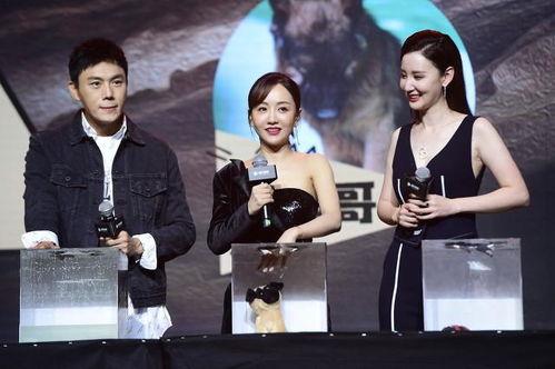 娱乐圈吃瓜爆料总结号,揭秘明星背后的故事与真相